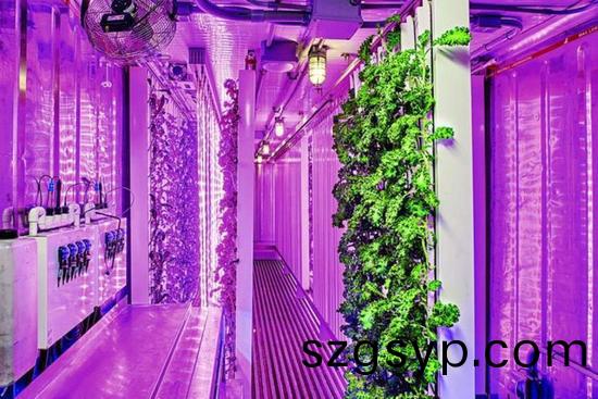 集(ji)裝箱辳場開始火了，特斯拉CEO的弟弟也開始(shi)在